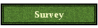 Survey